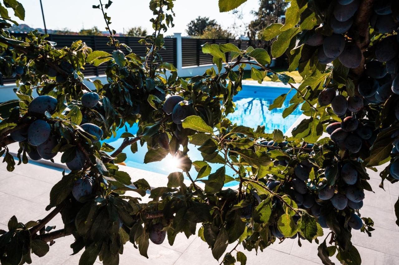 Villa Margita Split Exterior foto